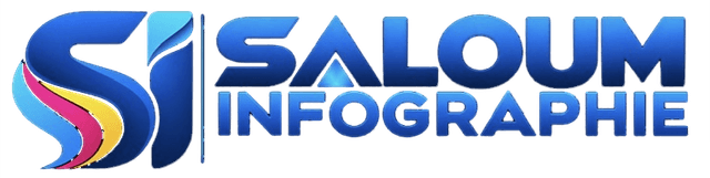 Saloum Infographie